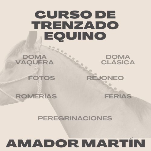 Curso trenzado equino (1080 x 1080 px)